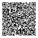 QR код "Аэлита"