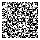 QR код "Профессионал"
