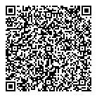 QR код "Домино"