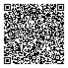 QR код "Top Disc"