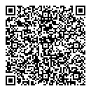 QR код "Домино"