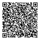 QR код "Мост"