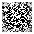 QR код "Глобус"