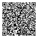QR код "Домино"