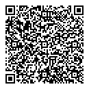 QR код "Глобус"