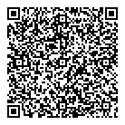 QR код "Глобус"