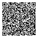 QR код "Блеск"