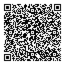 QR код "Силаудит"
