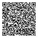QR код "Лавина"