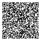 QR код "Диско"