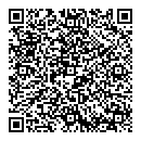 QR код "Блик"