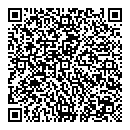 QR код "Спутник"