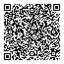 QR код "Алиса"