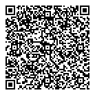 QR код "Профессионал"