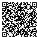 QR код "ДОМИНО"