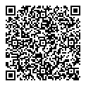 QR код "Solo"