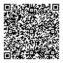 QR код "Световой"