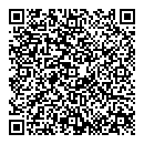 QR код "Алсу"