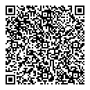 QR код "Сван"