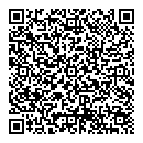 QR код "Феникс"