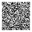 QR код "Рыжий кот"