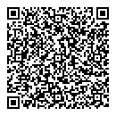 QR код "Спутник"