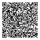 QR код "Пушкинский мост"