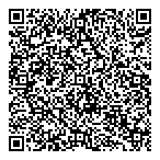 QR код "Владлинк"