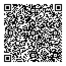 QR код "Блеск"