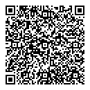 QR код "Ромашка"