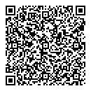 QR код "Саквояж"