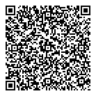 QR код "ДВ Сервис"
