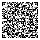 QR код "Профессионал"