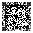 QR код "Спутник"