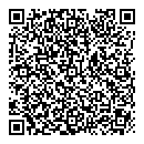 QR код "К 100лу"