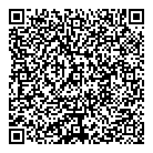 QR код "Астероид"