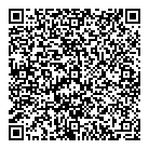 QR код "Динамо"