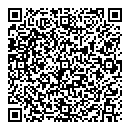 QR код "Созвездие"