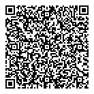 QR код "Domino"