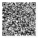 QR код "Лион"