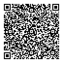 QR код "VULKAN"