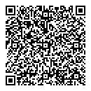 QR код "Светлана"