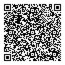 QR код "Блик"