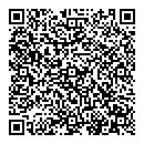 QR код "Мост"