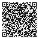 QR код "Алиса"