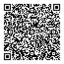 QR код "Спутник"