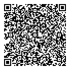QR код "Вилис"