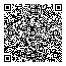 QR код "Домино"