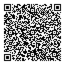 QR код "Силуэт"