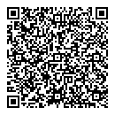 QR код "Глобус"